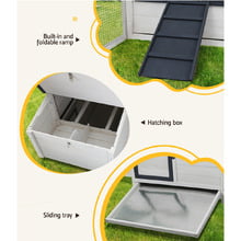Quina Chicken Coop & Rabbit Hutch